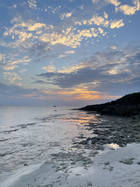 Image2