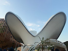 Photo_3