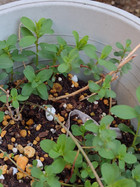 Img_20260326_175515080