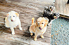 Img_5870 Img_5870
