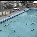 Img_5914 Img_5914