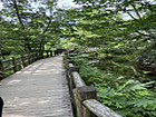 Img_7975 Img_7975
