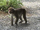 Img_7999 Img_7999